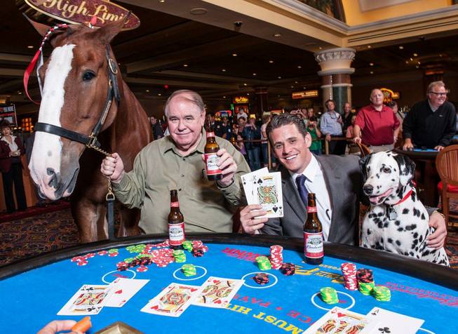 South Point GM Ryan Growney, in the suit, and South owner Michael Gaughan play blackjack with a Clydesdale named Elite and a Dalmatian named King at South Point on Friday, Oct. 12, 2012.
